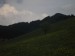 13677117_238768118.jpg