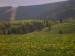 mf_238768668_7cf05932b0e3bb1fca667d3c13dff3ec.jpg